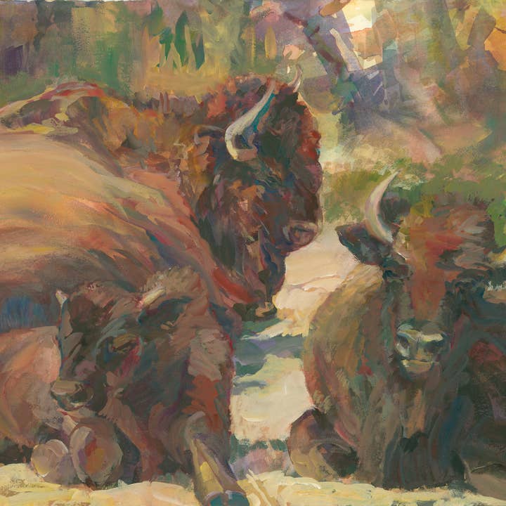 Bison Multipack-Boxed Notecards for wholesale by Givinity Press