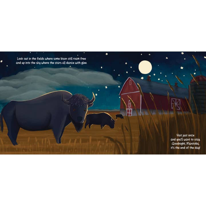 Taffy Tales Inc. - Vente Livre pour bébés et tout-petits (jusqu'à 2 ans) - Bonne nuit, Canada livre cartonné 9x93