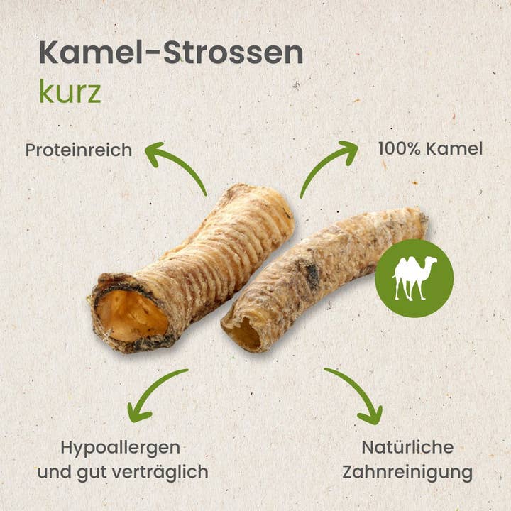Kauartikel.com GmbH - Wholesale Pet Bone/Rawhide - Dog - camel stopes, short3