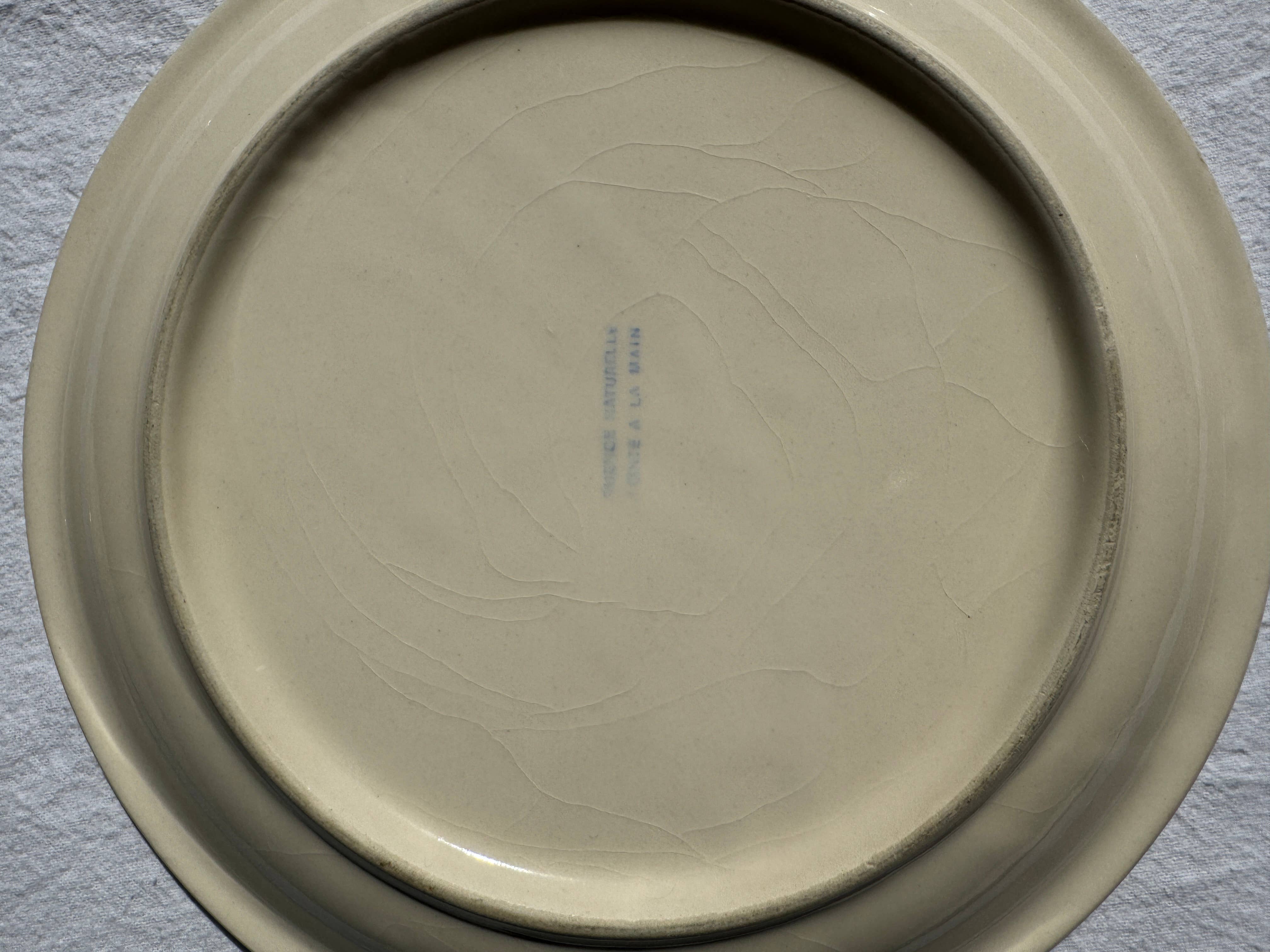 Office Objets - Wholesale Dinner Plate - Set of 8 vintage white dinner plates with blue trim D23.511