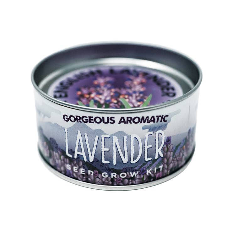 The Jonsteen Company - Wholesale Plant Seeds - Lavender | Flower Seed Grow Kit2