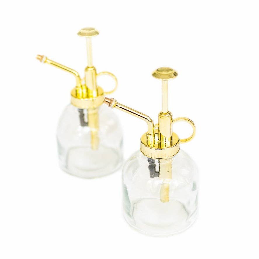 Air Plant Shop - Wholesale Retailer Display - Home & Living - Retail-Ready Easy Table Display Variety Bundle9