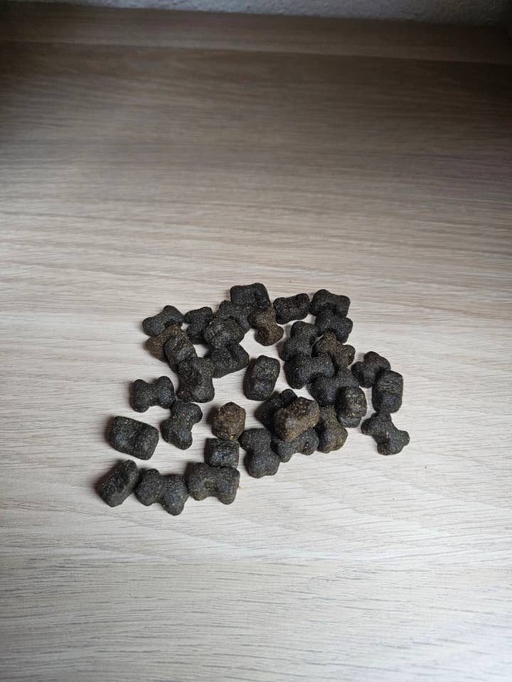 Spirit of Wild Snack skin and coat grain-free for wholesale by Spirit of Wild