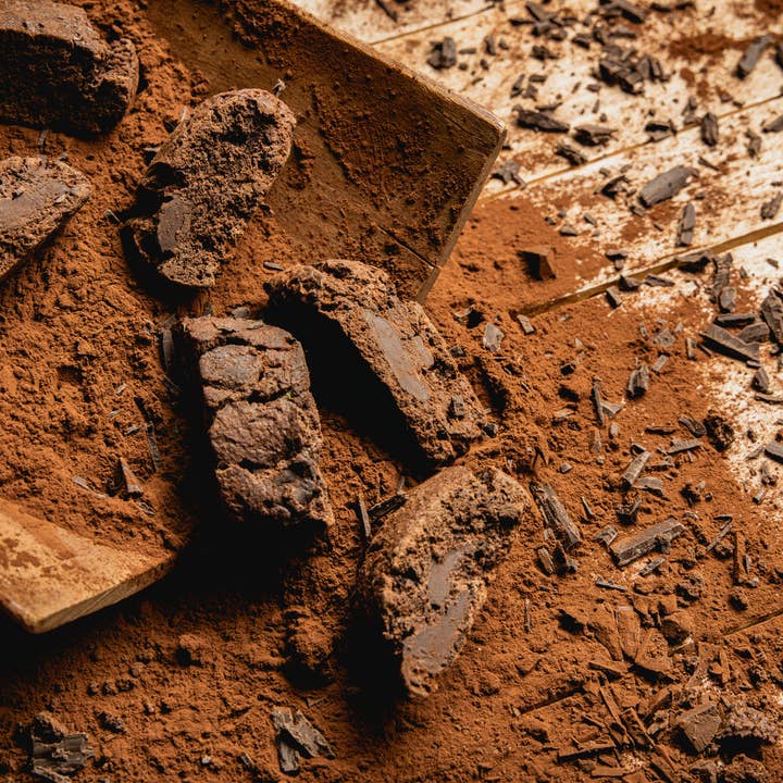 Le Dolcezze di Nanni - Wholesale Cookie - 505 Morbiducci with cacao, soft biscuits made in Italy2