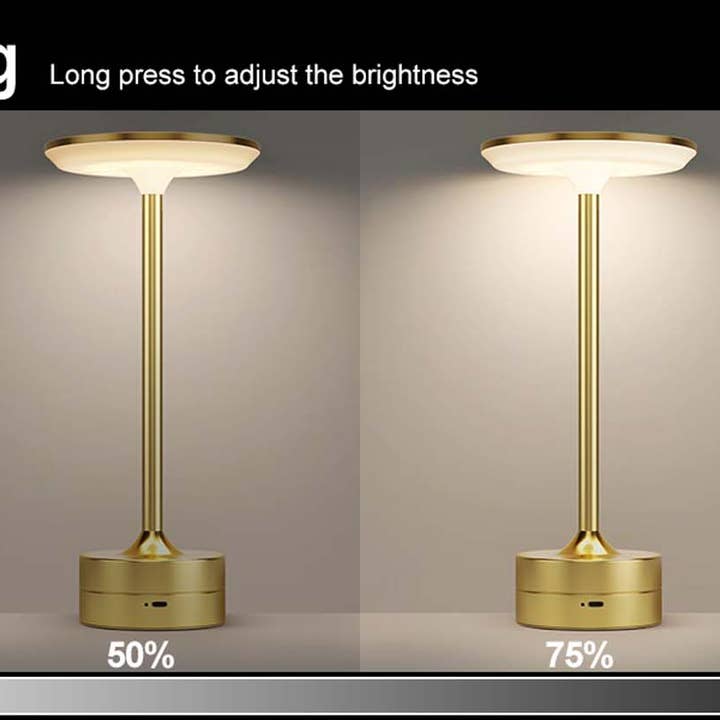 LAX Gadgets - Wholesale Accent/Desk Lamp - LED Table Lamp – Touch Control, Dimmable, Rechargeable25