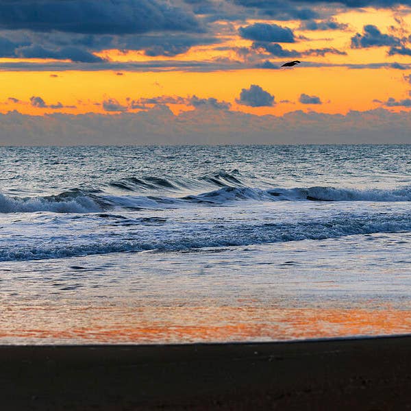 Kunstdruck der Outer Banks in North Carolina NCO19 für den Großhandel von Breaking Rules Photography
