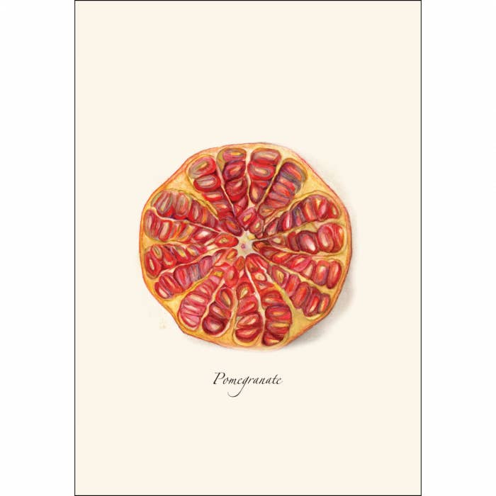 Earth Sky + Water - Wholesale Stationery/Notecard Set - Pomegranate2