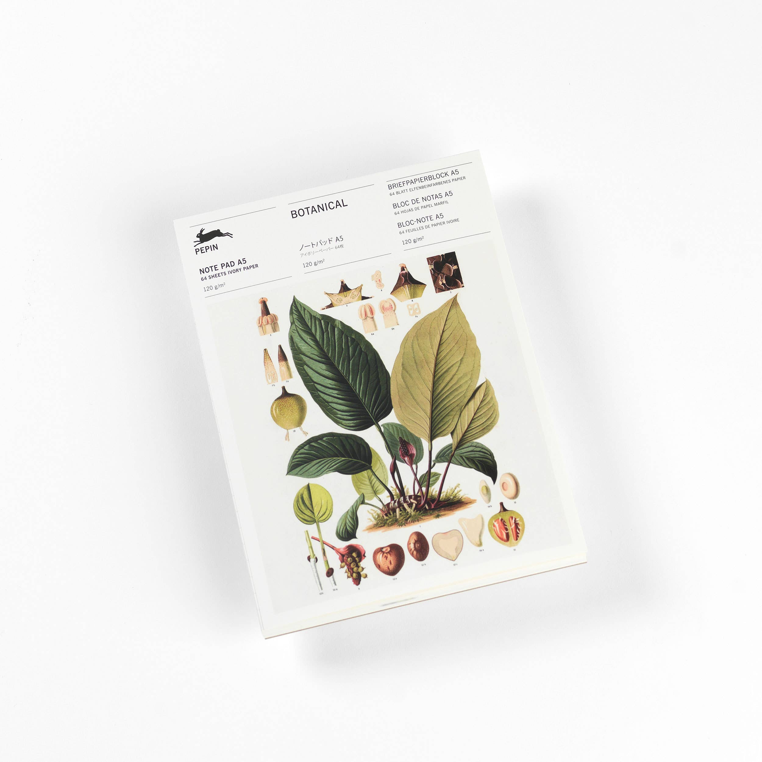 Pepin Press – wholesale Anteckningsblock – Botanical (ny utgåva) A5 Anteckningsblock & Skrivpapper2