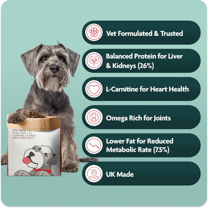 Omni – Engroshandel Foder - Hund – Gyldne Seniorår3