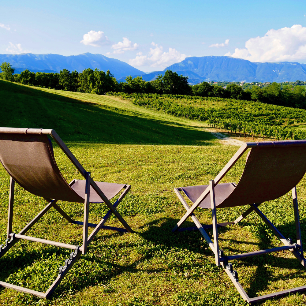 Mani Sagge - Vente Champagnes/vins pétillants - Prosecco Superiore Mani Sagge DOCG Millesimato Extra Dry2