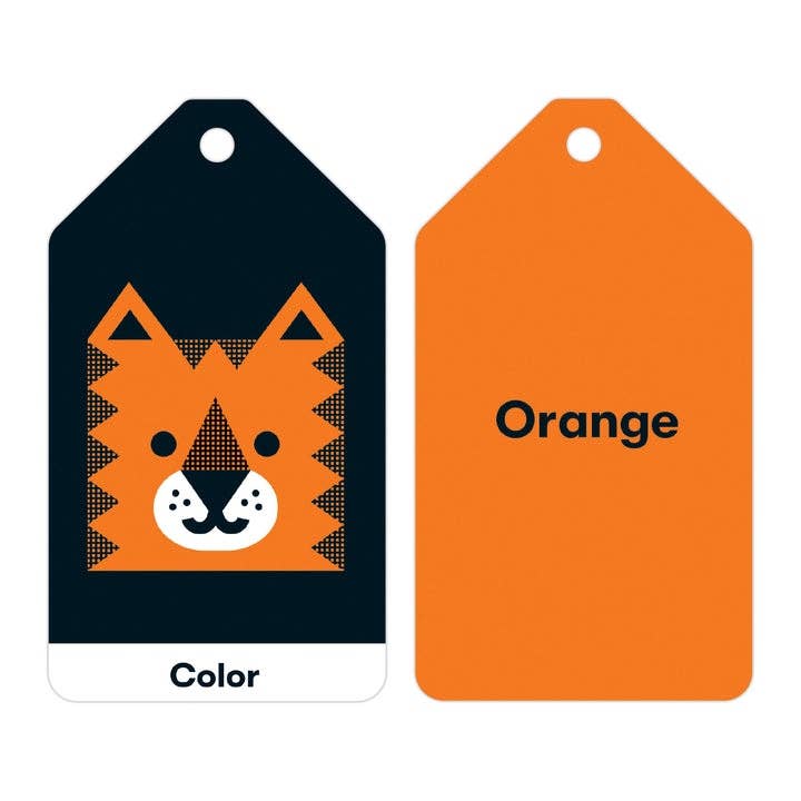 Texas Bookman - Wholesale Learning Cards - Kids & Baby - Little Learner Ring Flash Cards1