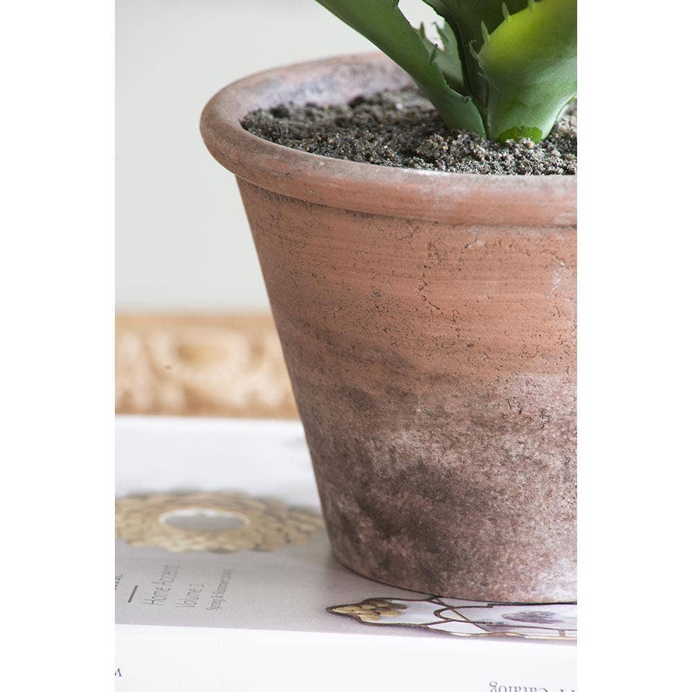 A&B Home Group Inc. – wholesale Artificial plant – Succulent10