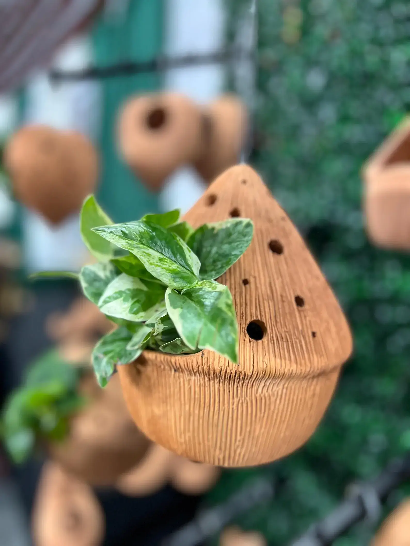 Handicraft Heaven - Vente Jardinière suspendue - Suspension en terre cuite faite à la main : forme sculpturale unique3