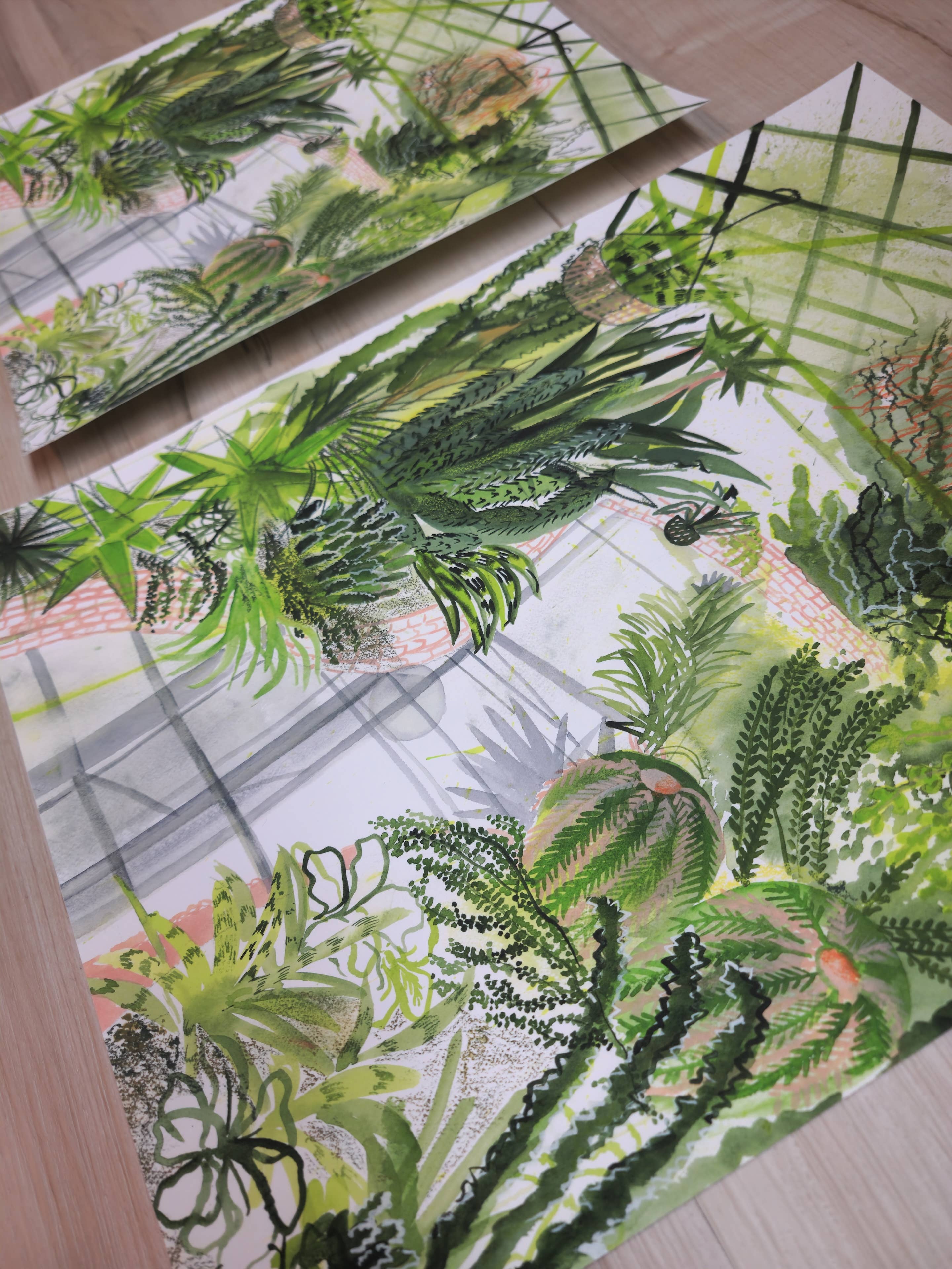 ApoorvaMittalDraws - Wholesale Art Print - Greenhouse Art Print that shows Botanical Beauty3