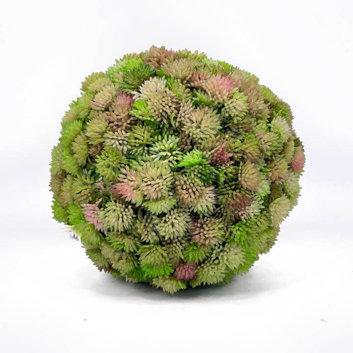 Bola suculenta FL11642, 7 pulg. 3 P/24/5,86 pies para venta al por mayor de Green Import Limited