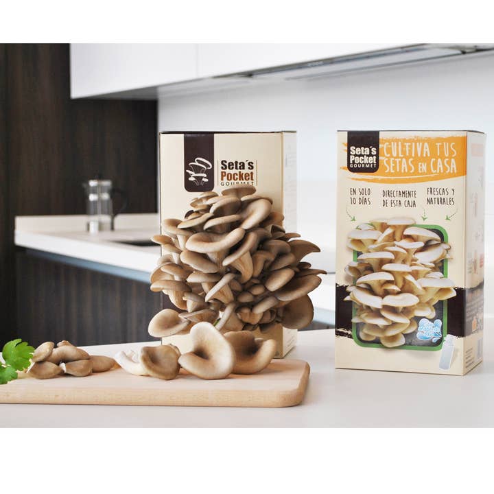 Garden Pocket - Venta al por mayor Kit de cocina - UD - SETAS POCKET GOURMET