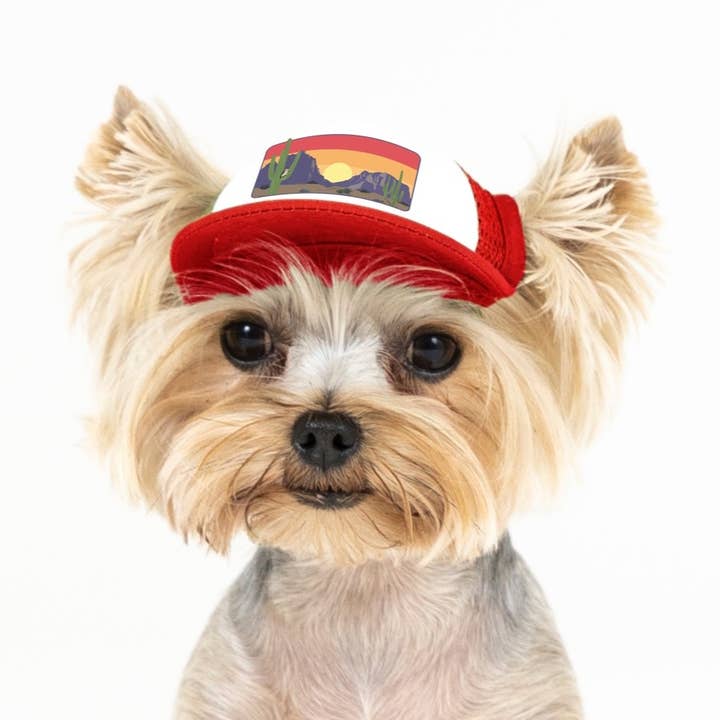 Desert Owl Standard or Namedrop | Trucker Hat for Dogs for wholesale by PupLid