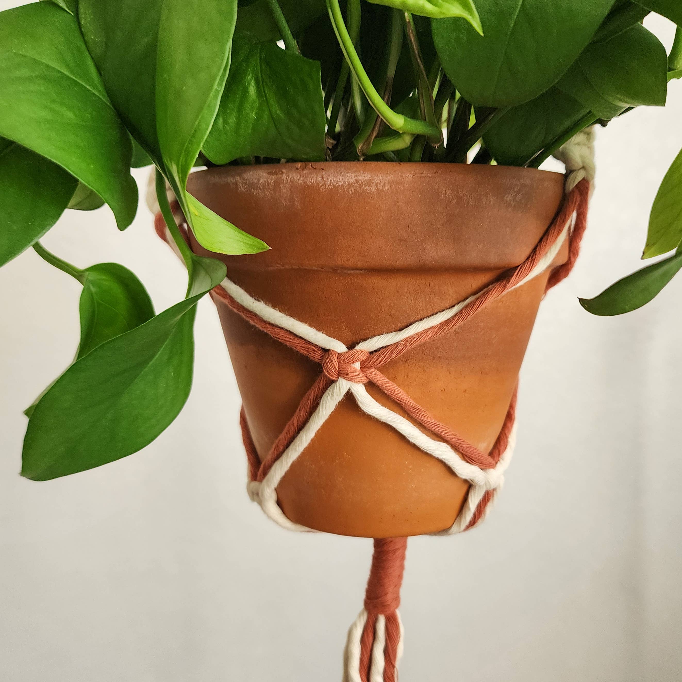 Handmade By Uruba - Vendita all'ingrosso Fioriere a sospensione - Appendino per piante con perline bicolore per uso interno/esterno 5