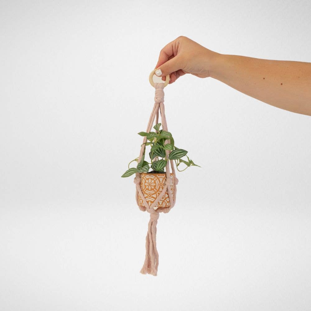 Freeleaf - Wholesale Hanging Planter - Mini Flourish Plant Hanger3