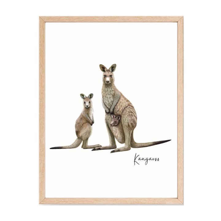 Native Australian Kangaroo Poster for wholesale by Taylor Hill Scarves & Co