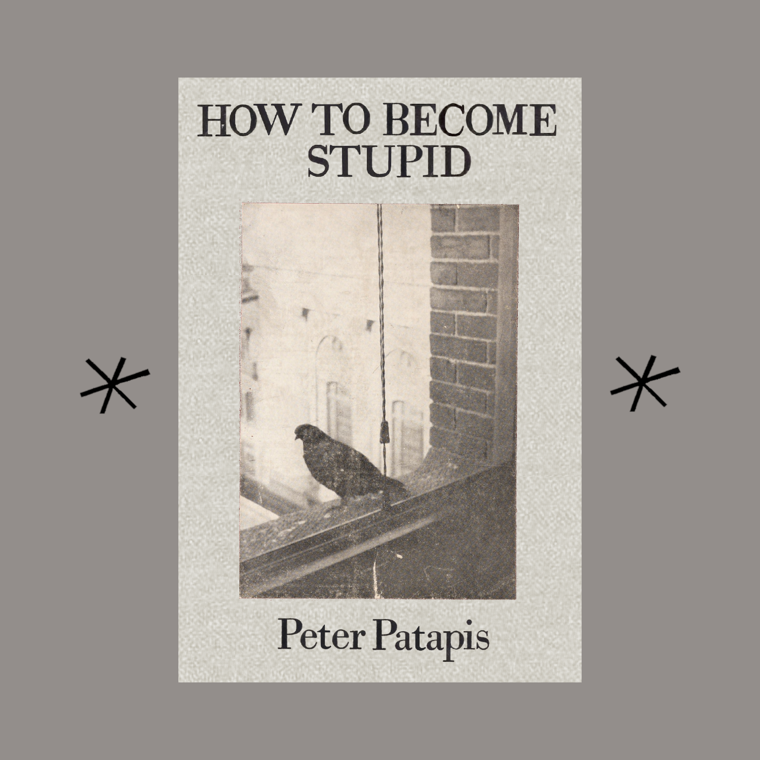 Bottlecap Press – Großhandel Poesie & Drama – WIE MAN DUMM WIRD, von Peter Patapis0