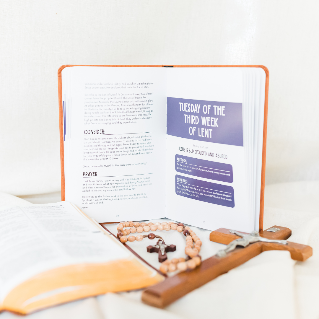 Catholic Sprouts LLC - Wholesale Religion Book - Stay with Me: Lenten Devotional5