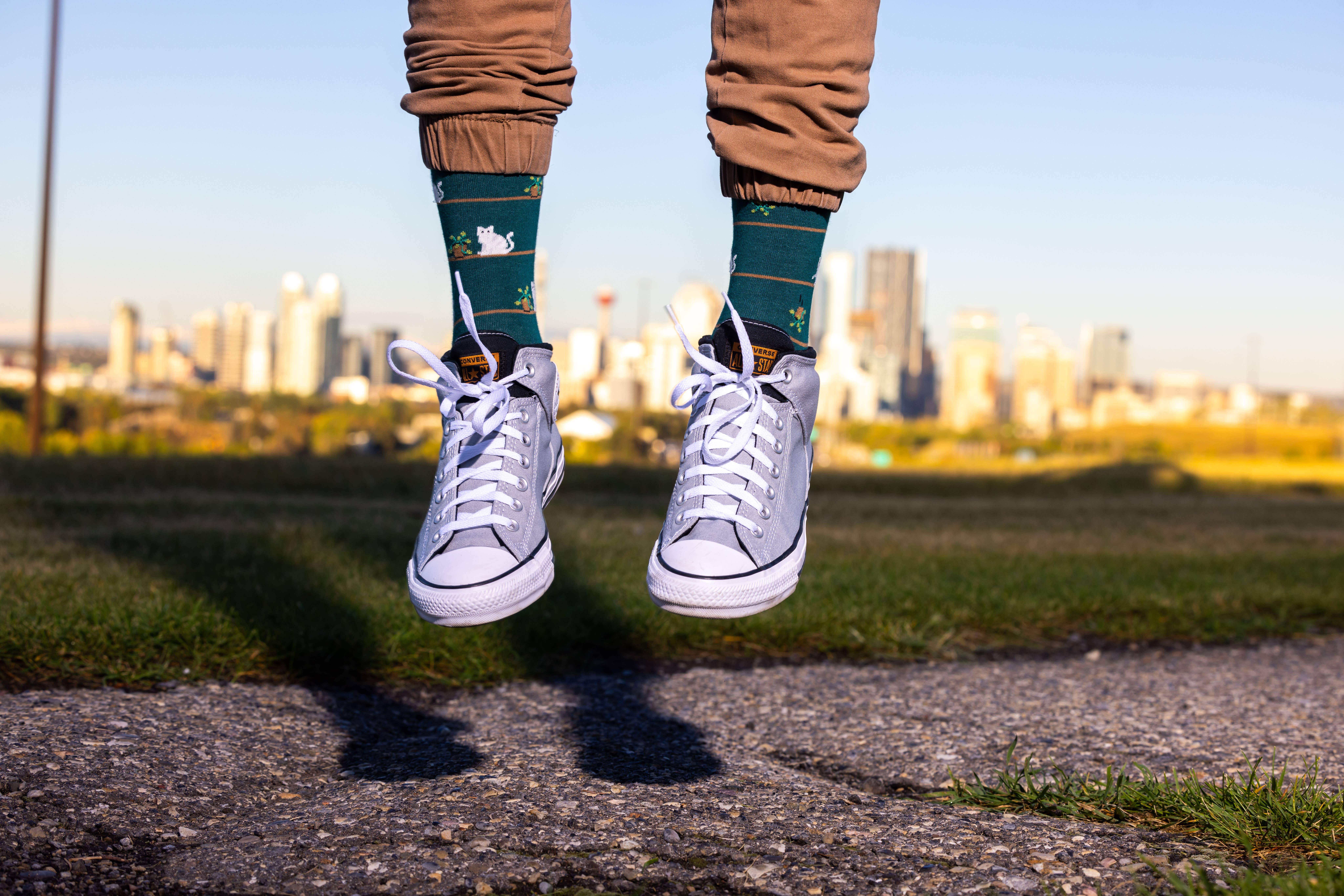 Friday Sock Co. - Wholesale Socks - Men's - Men's Cat & Plant Socks2