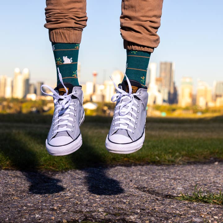 Friday Sock Co. - Wholesale Socks - Men's - Men's Cat & Plant Socks2