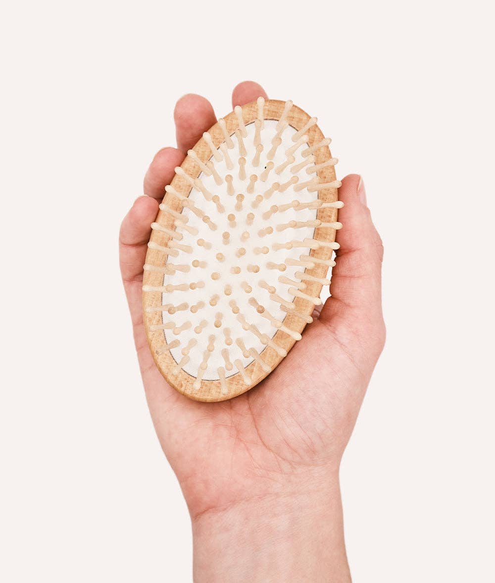 CAFIDE - Vendita all'ingrosso Spazzola - Cani e gatti - Spazzola Massaggiante per Cani, Teo