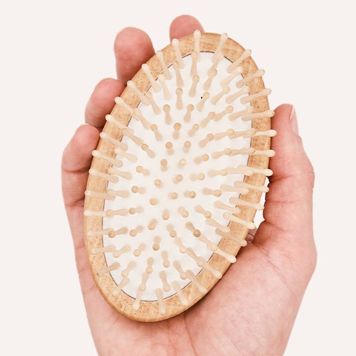 CAFIDE - Vendita all'ingrosso Spazzola - Cani e gatti - Spazzola Massaggiante per Cani, Teo0