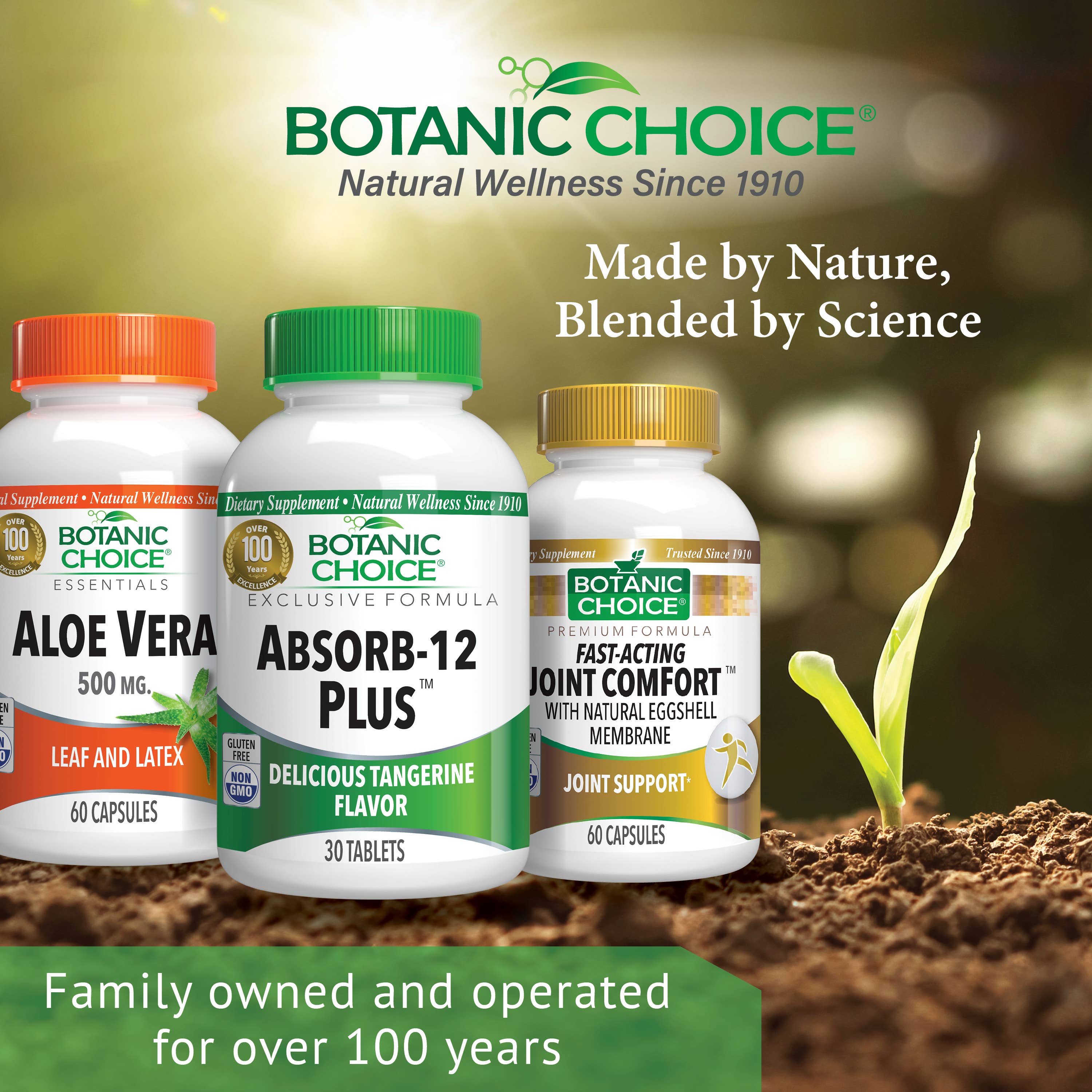 Botanic Choice - Wholesale Oral Supplement/Vitamin - Botanic Choice AbsorB-12 Plus™ - 30 Chewable Tablets4