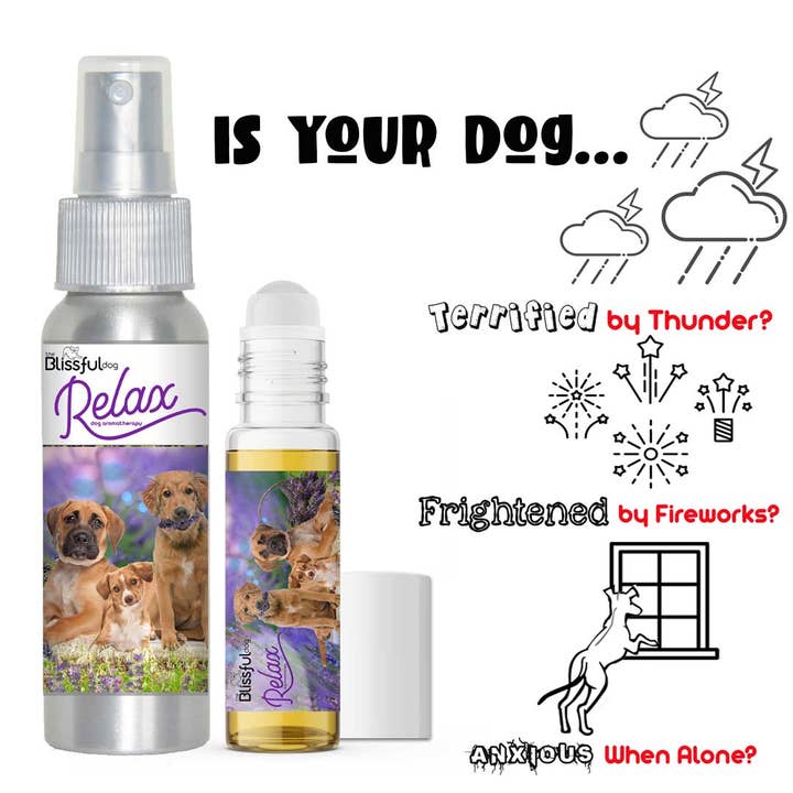 The Blissful Dog – Großhandel Haustierspray – Hund – Relax Dog Aromatherapie Beruhigungsspray & Roll-on