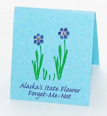 Semaki & Bird – wholesale Solitärörhängen – Alaska Förgätmigej Inte Sapphire Studs - sterling silver3