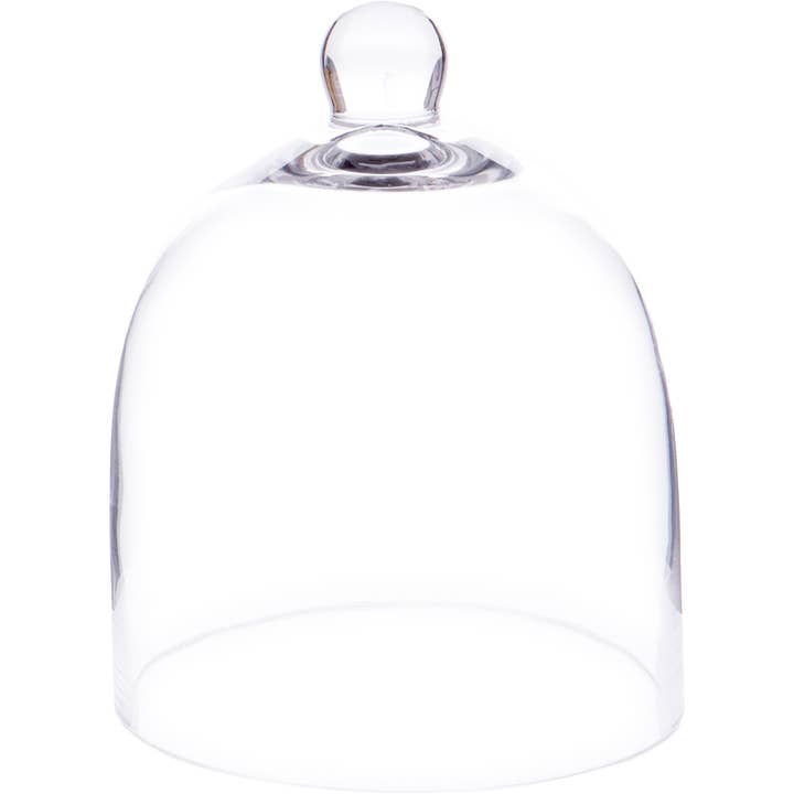 Bard's - Wholesale Decorative Tabletop Object - Bard's 6" x 7" Bell Jar Glass Display Dome Cloche