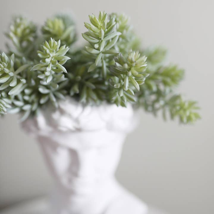 Prestige Botanicals - Wholesale Artificial plant - Artificial Mini Jade Succulent 7”3