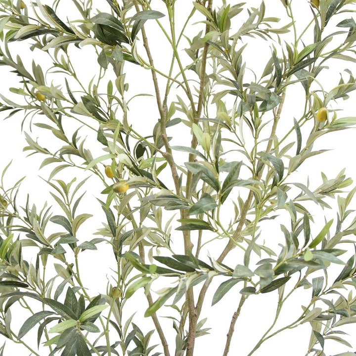 CG Hunter - Wholesale Artificial Plant - 7' Artificial Wispy Olive Tree5
