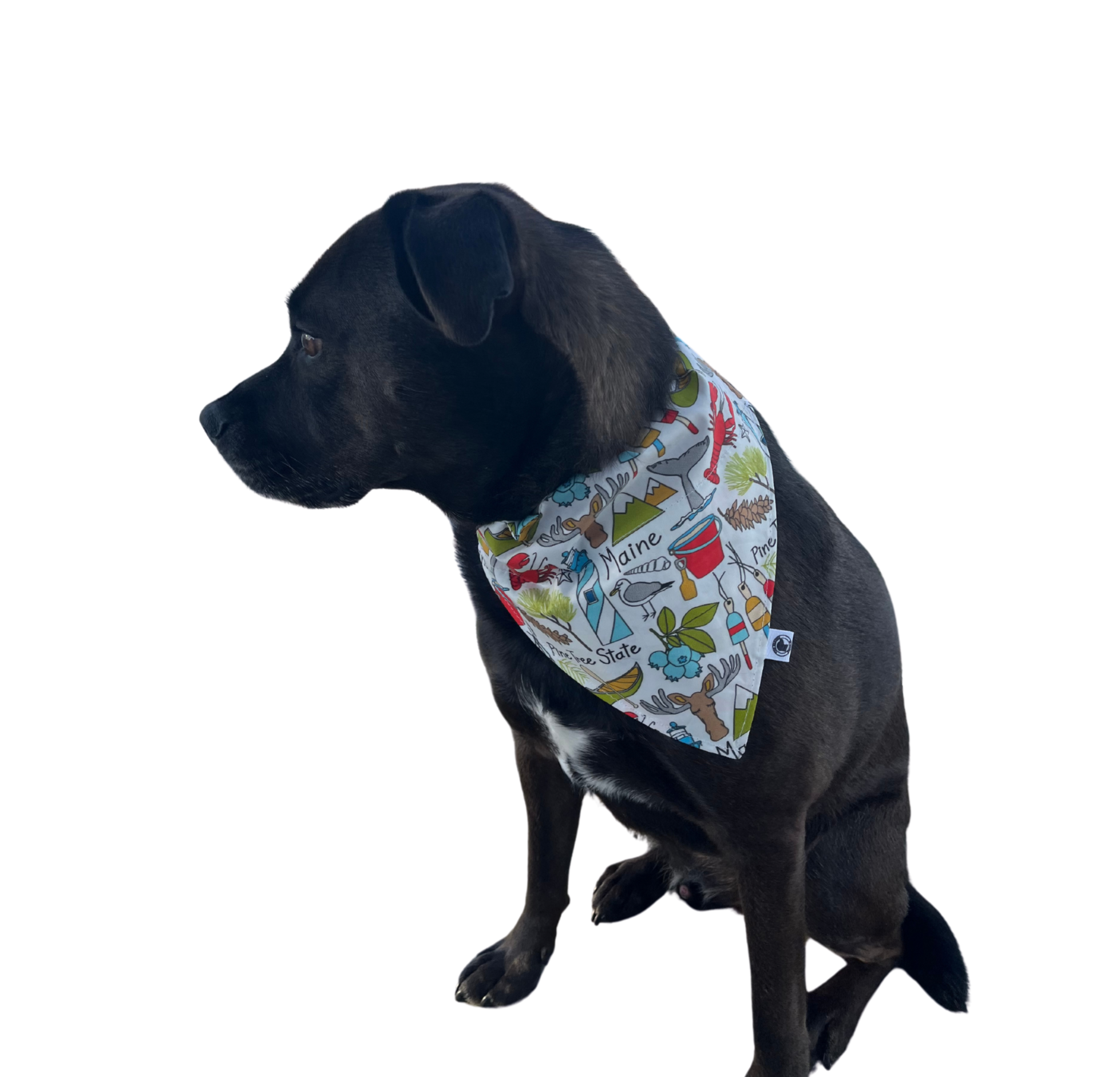 The Maine Pooch LLC – wholesale Pet bandana – Dog – Pine Tree State Maine Bandana1