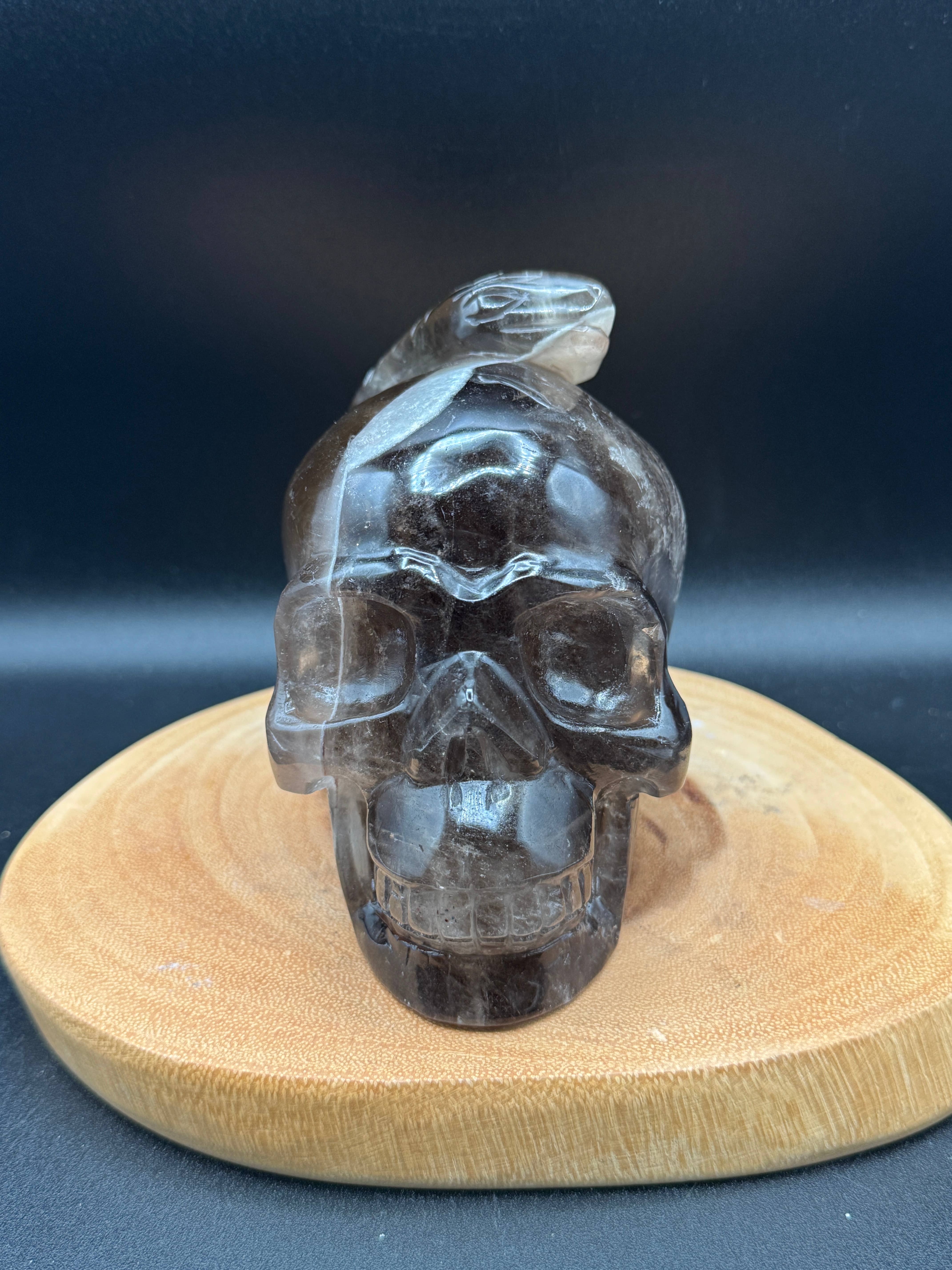 The 7 Directions - Wholesale Spiritual Stone/Crystal - 3.9 lb Unique Smoky skull w/ snake carving H361