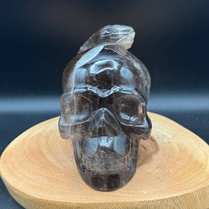The 7 Directions - Wholesale Spiritual Stone/Crystal - 3.9 lb Unique Smoky skull w/ snake carving H361