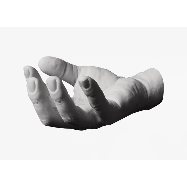 Areaware - Wholesale Wall Hook - Reality Hand Hook
