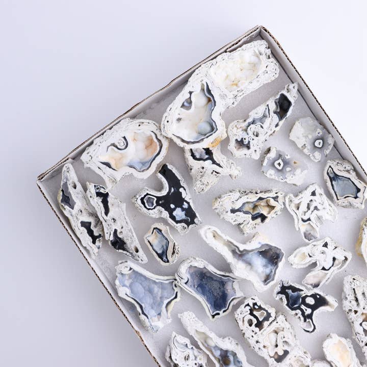 Agatized Coral Flat for wholesale by Mi Esperanza Minerals