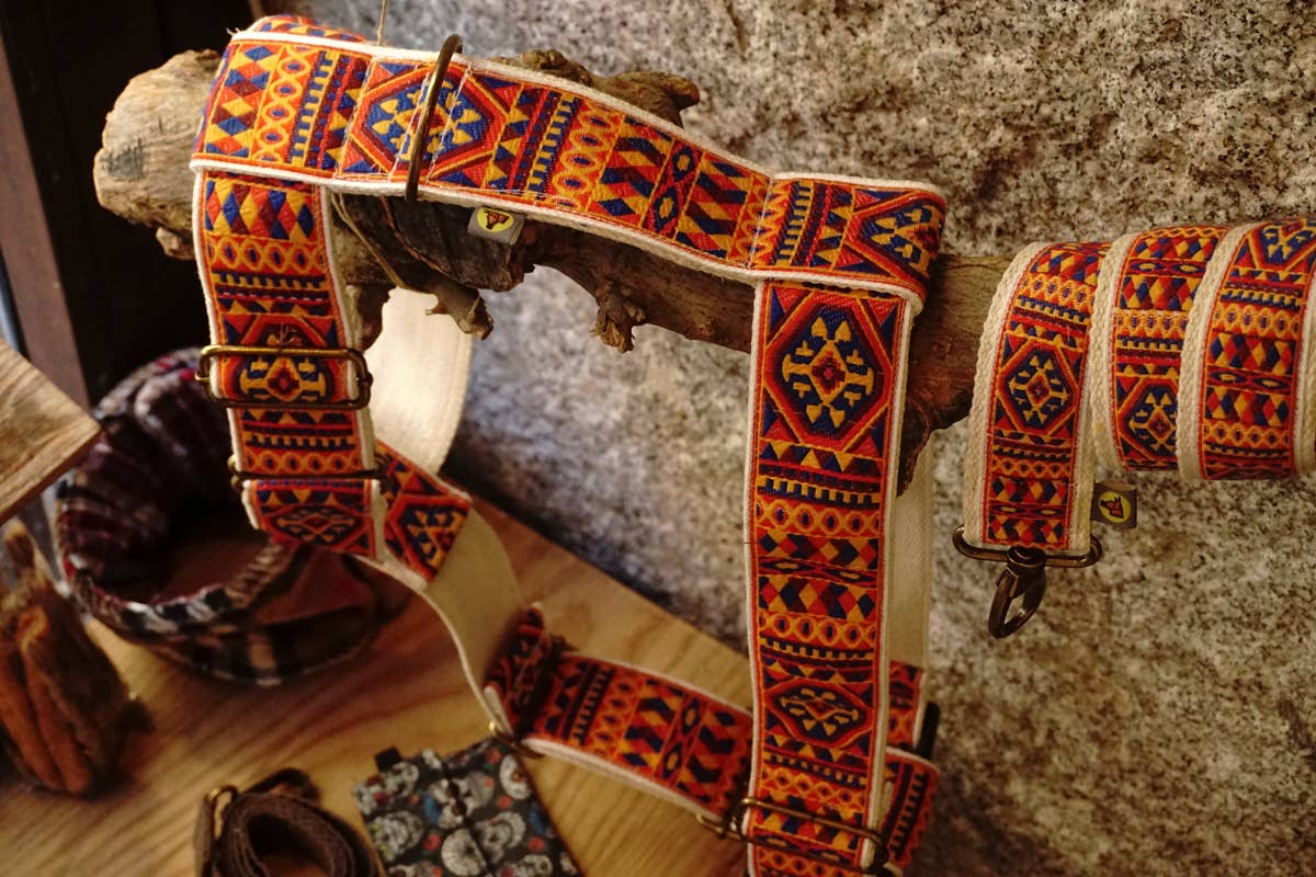 hundsfutter - Wholesale Pet Harness - Dog - "Ruben" dog harness and leash5