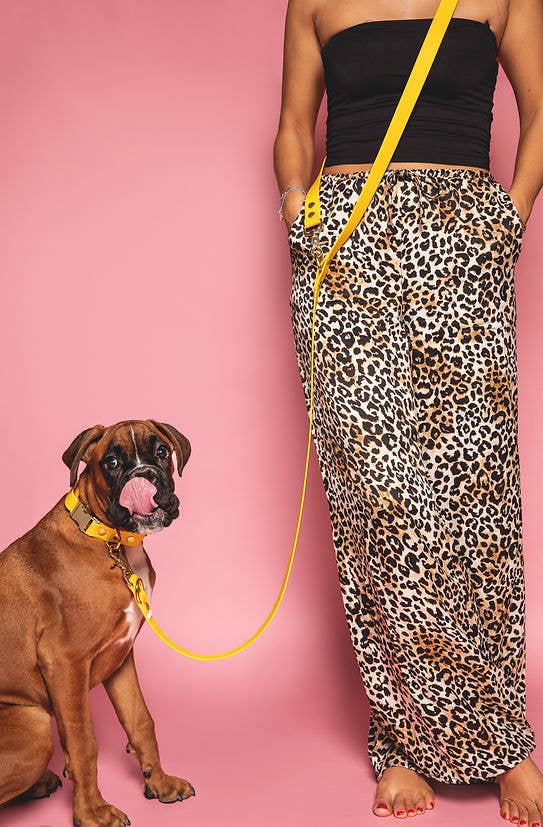 Pompon & Pets – wholesale Halsband - Hund – Gult halsband i Biothane3