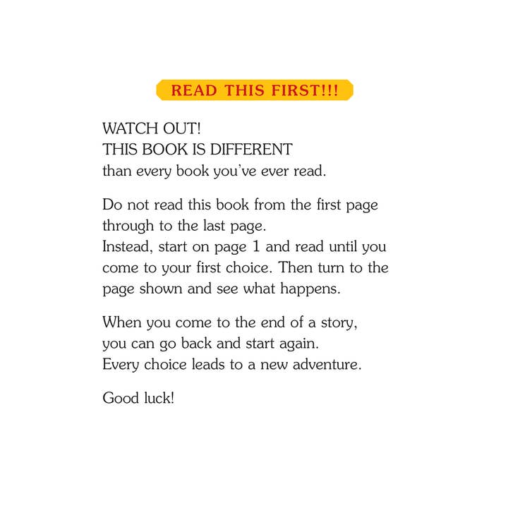 Choose Your Own Adventure - Wholesale Early Reader Book (6-8) - Return To Haunted House, Children's Book1