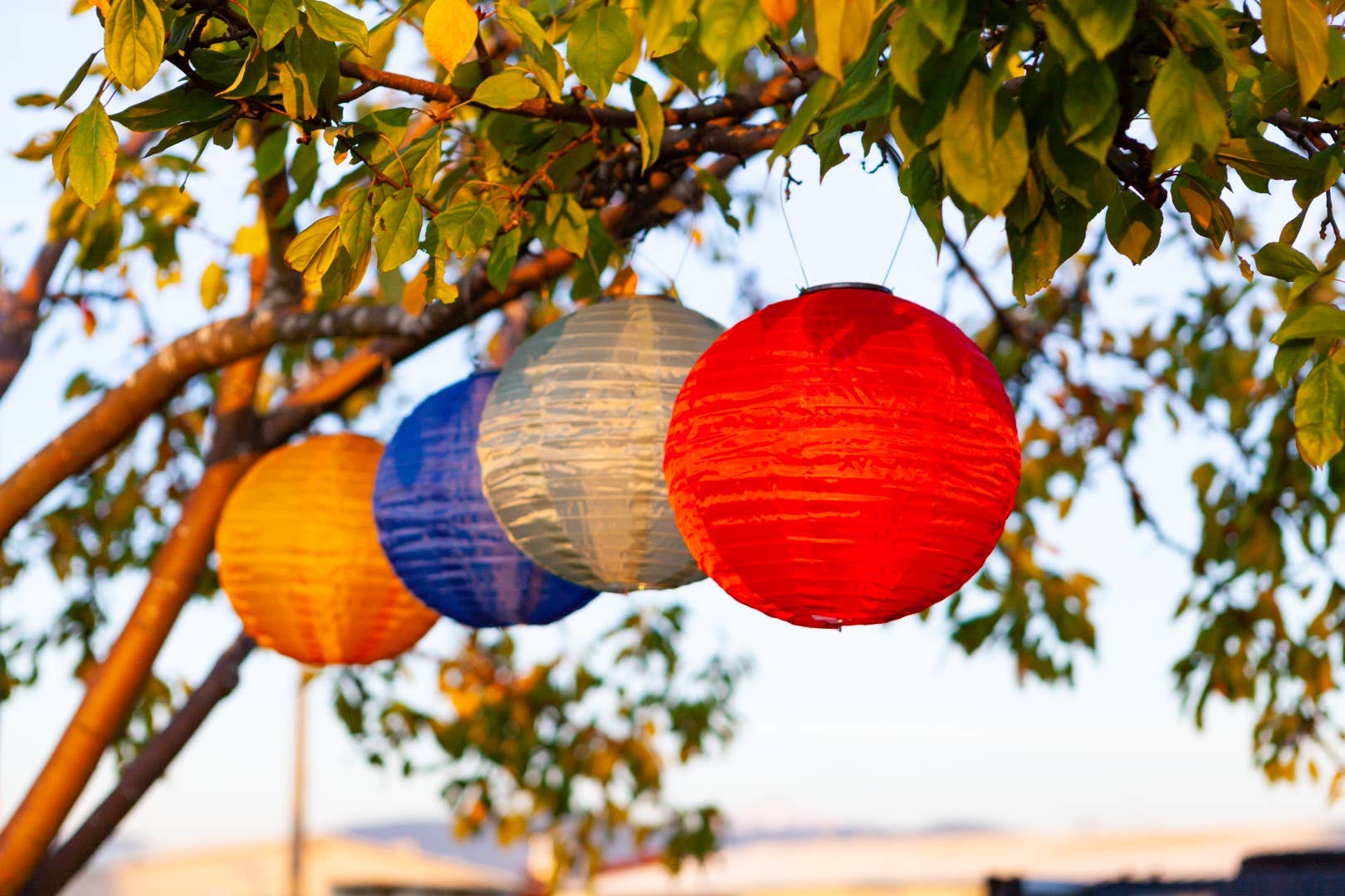 Allsop Home & Garden - Vendita all'ingrosso Luce per esterni/da giardino - Lanterna solare Soji Festival Globe 12" - Blu ceruleo14