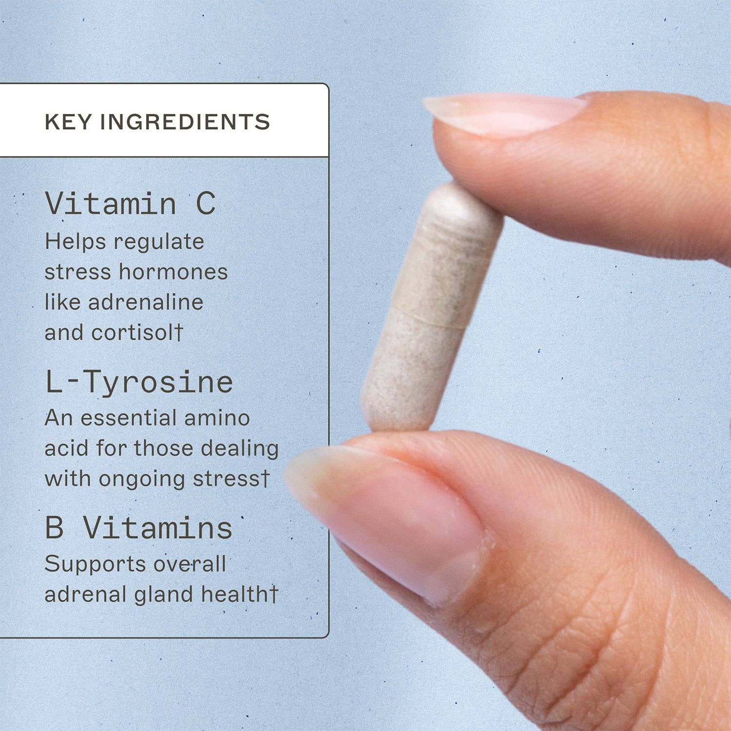 AMMD™ by Amy Myers MD® - Wholesale Oral Supplement/Vitamin - Adrenal Support3