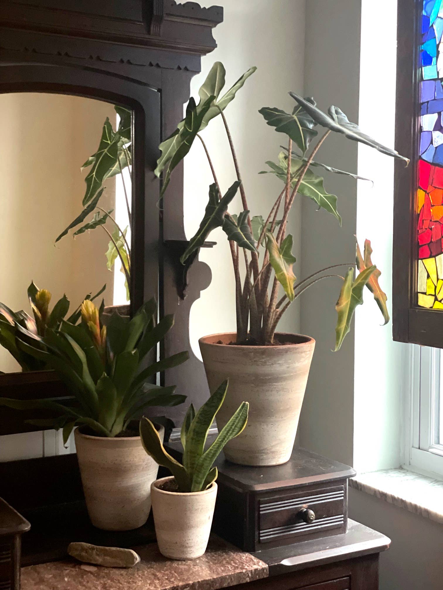 Women of the Cloud Forest - Wholesale Plant Pot - Concrete White-washed Terracotta Planter (Medium)3