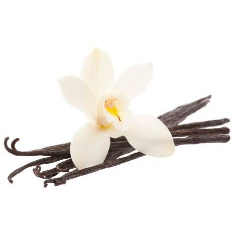 Vanilla for wholesale by Healing Hollow