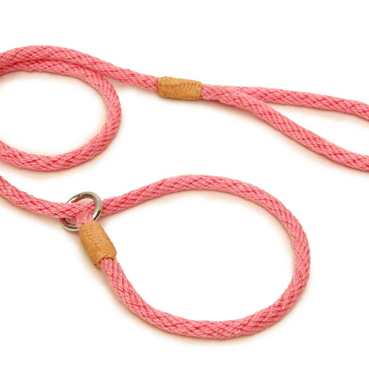 Alvalley - Wholesale Pet Leash - Dog - Nylon Slip Leads101