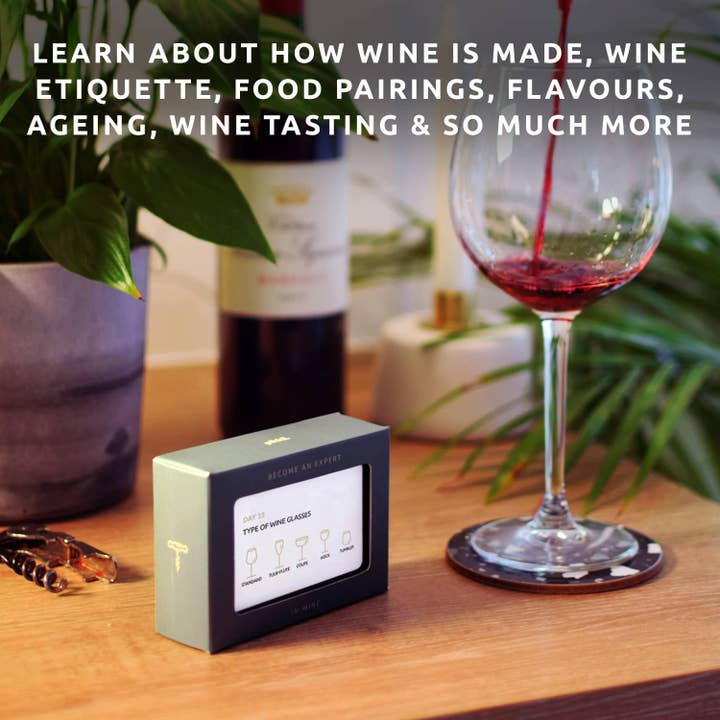 Pikkii USA - Wholesale Card Game - Become An Expert In Wine In 90 Days Slide Box | Wine Gift3